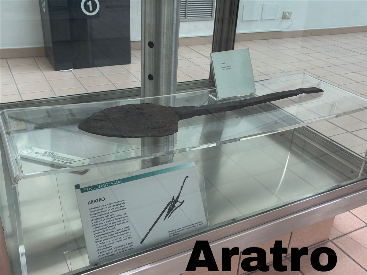 Sezione archeologica