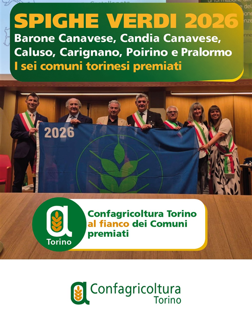 Sei Comuni del Torinese conquistano le Spighe Verdi 2026